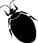 Bedbugs and Condos